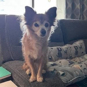 Meet your Posher, Joshua